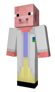 Minecraft skin sbeach