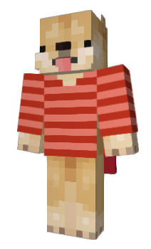 Minecraft skin SkiVis