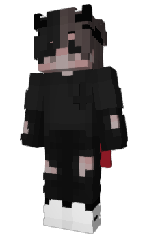 Minecraft skin JINSEOG13