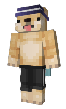 Minecraft скин по нику FurryTiger