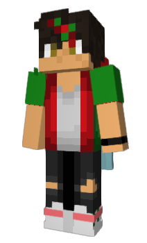 Minecraft скин по нику NAMNAMTV