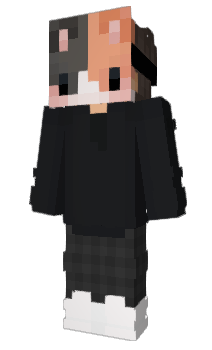 Minecraft skin NevrF