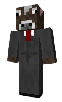 Minecraft skin HubbaHub