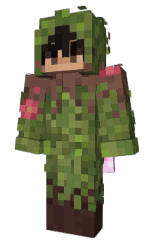 Minecraft skin austeo