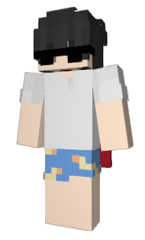 Minecraft skin Conflerx