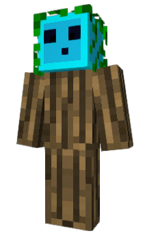 Minecraft скин по нику santaro
