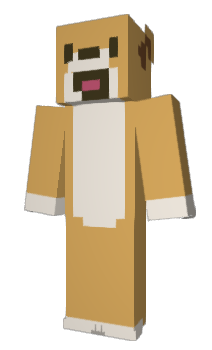 Minecraft skin 2ZOO