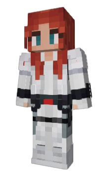 Minecraft skin blizzler