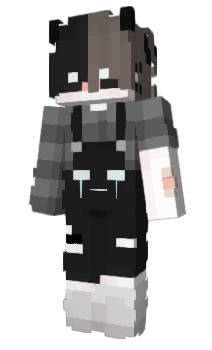 Minecraft skin Mrnoisey666