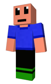 Minecraft skin flst