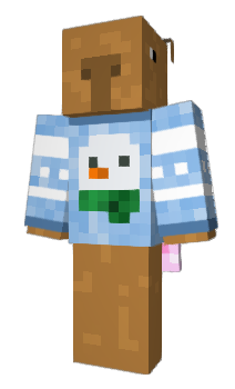 Minecraft skin splitv
