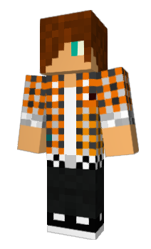 Minecraft skin Reestar