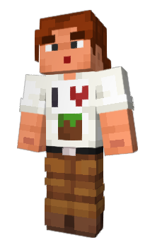 Minecraft skin paket6209