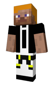 Minecraft skin JavaError