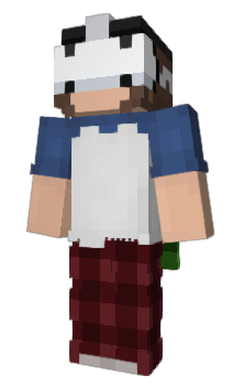 Minecraft skin iplusd