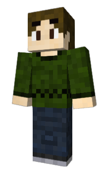 Minecraft skin TanookiM