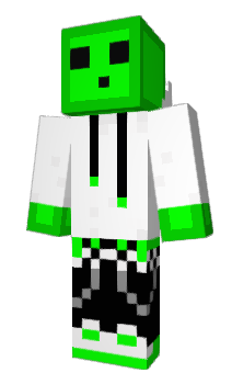 Minecraft skin einsat