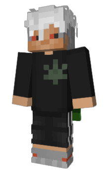 Minecraft skin vinDek_