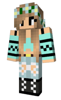 Minecraft skin kopig