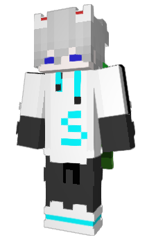 Minecraft скин по нику Mr__Skate