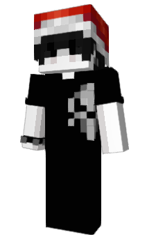 Minecraft skin 112w