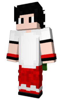 Minecraft skin MoeinXPro