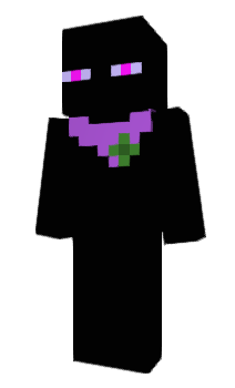 Minecraft skin Reort