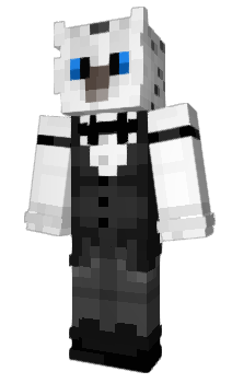 Minecraft skin TNXR