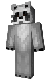 Minecraft скин по нику Mapacheconhache