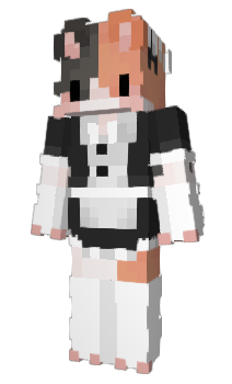 Minecraft skin tebomaster