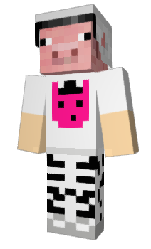 Minecraft skin poLarJE