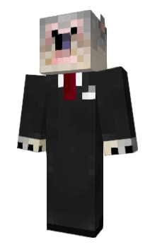 Minecraft skin Edgra
