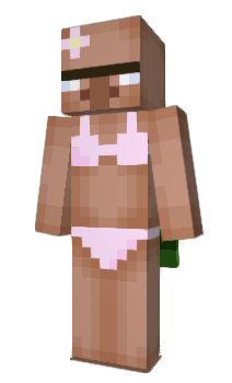 Minecraft skin HAllaal