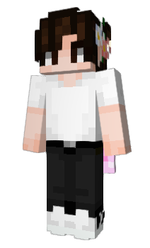 Minecraft skin starmoew