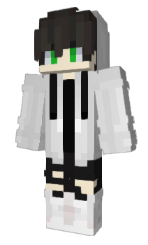 Minecraft skin gsld