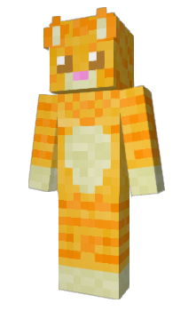 Minecraft skin DBSgamerYT