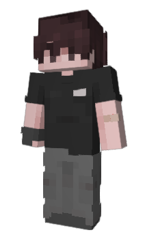 Minecraft skin MONKEYnikro