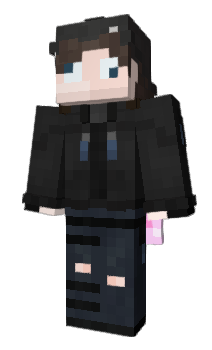 Minecraft skin DIPPA