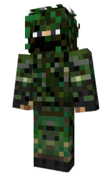 Minecraft skin pol00