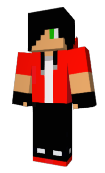 Minecraft skin T2X2