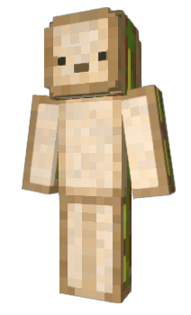 Minecraft skin pmss