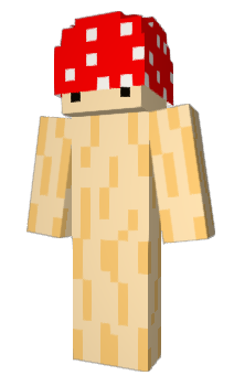 Minecraft skin YDAK