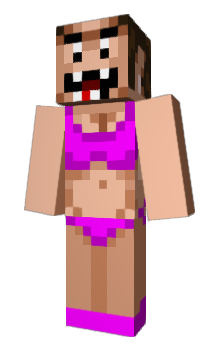 Minecraft skin Friye