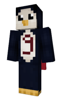 Minecraft skin noknock