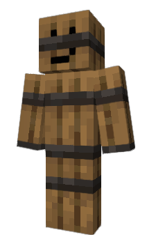 Minecraft skin bochonok_