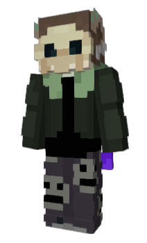 Minecraft skin Neergue