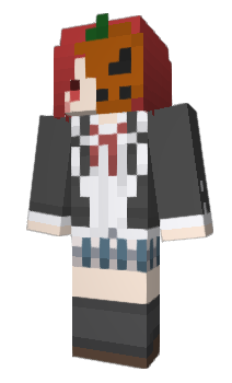 Minecraft skin ZTMY