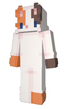 Minecraft skin lvmg