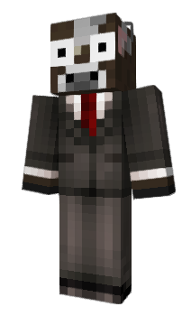 Minecraft skin Examination