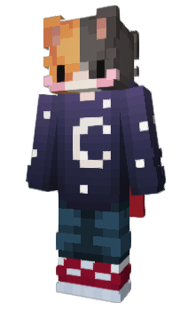 Minecraft skin ProJakob